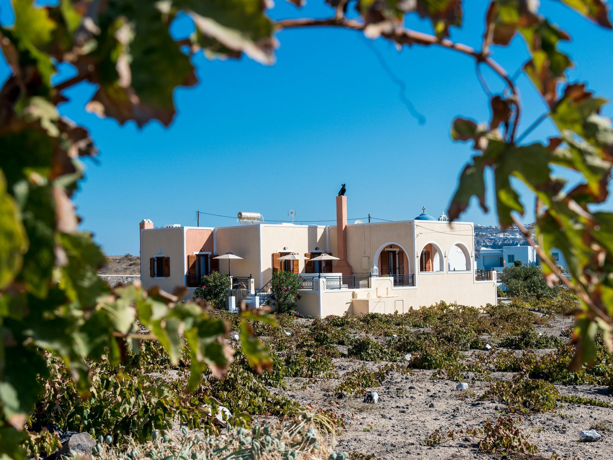 Vineyard Exclusive Suites Akrotírion Kültér fotó